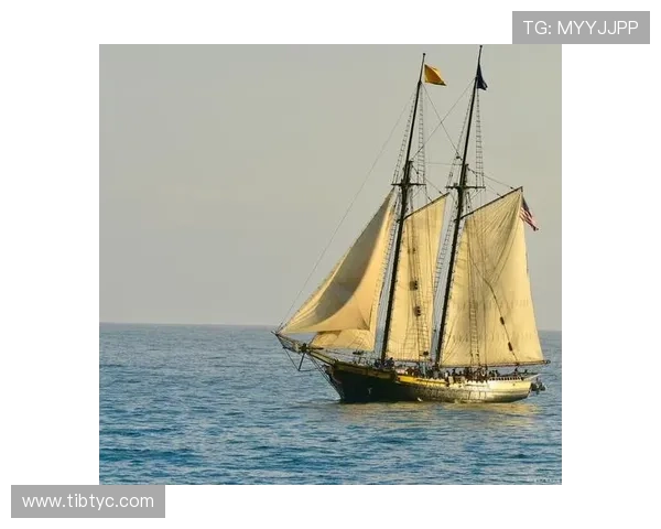 为什么帆船运动成为初学者体验海上自由与航海乐趣的理想选择